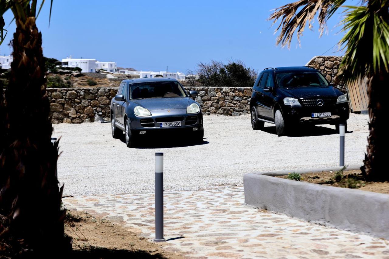 The George With Private Pool, Close To - Chora Villa