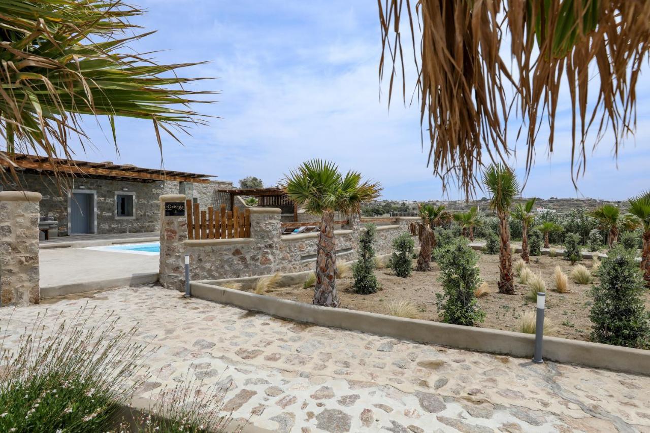 The George With Private Pool, Close To - Chora Villa